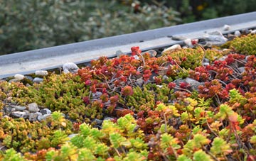 the cost of Snaresbrook green roof installation